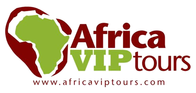 Africa VIP Tours Logo